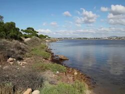 Mozia (Motya), the coast of Mozia island Stock Footage