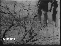 New Farming Inventions News Clip