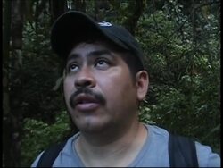 An unique surrealist masterpiece is in danger of disappearing into the jungle News Clip