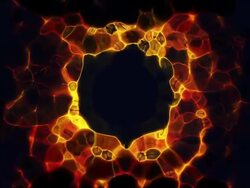 Loopable Fire Background with copyspace Stock Footage