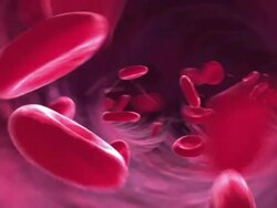 Animation Endoscopic POV of blood corpuscles moving through blood vessels Stock Footage