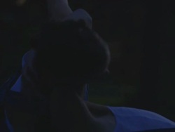 portraits shot of two dancers dancing in nature together Stock Footage