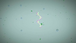 Baby gene therapy study offers hope for fatal muscle disease ++Animation mute++ News Clip