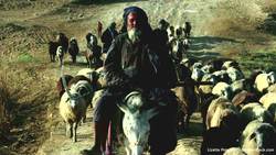 Afghanistan Instructional Video