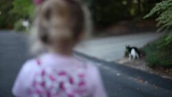 Little girl in watermelon dress watches cat run across the street Stock Footage