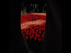 SYND 23 11 76 MEETS PRESIDENT CEAUSECU News Clip