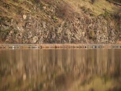 WS View of cars moving on street near lake / Orcas Island, Washington, United States Stock Footage