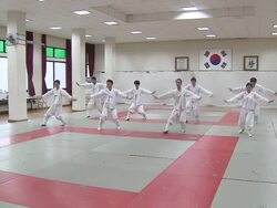MS Group of people training Taekkyeon (traditional Korean martial art) / South Korea Stock Footage