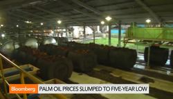 Palm Oil Prices to Rise in Q4 or Q1 2015: StanChart News Clip