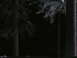 WS SLO MO PAN Snowmobile jumping in snow covered forest / Mammoth Lakes, California, USA Stock Footage