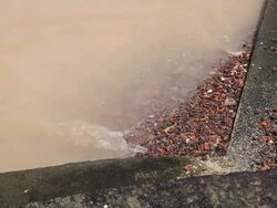 Sewage Stock Footage