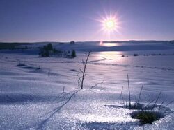 Winter Stock Footage