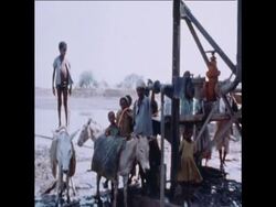 SYND 25 6 77 ERITREAN REFUGEES News Clip