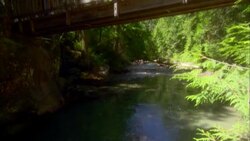 Tourists look over a wooden footbridge in Glacier National Park, Montana. Stock Footage