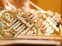 HD:Horn player rehearsal for symphony orchestra. Stock Footage