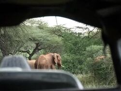 Community gardens are helping local people become self sufficient Instructional Video