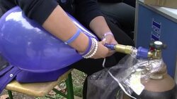 CLEAN : Austrias rival parties campaign ahead News Clip