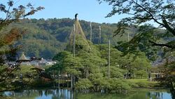 Snow Hanging Work at Kenrokuen Garden, Kanazawa, Japan Stock Footage