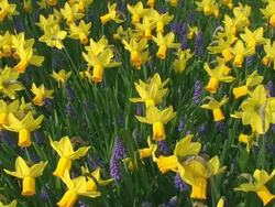 Spring. Stock Footage