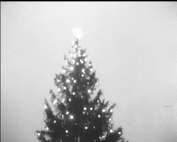 THE TREE IN LONDON News Clip