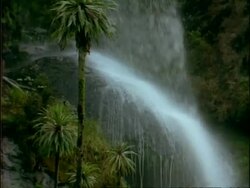 MS Water cascading onto large boulder in jungle, Rwenzori Mountains, Uganda Stock Footage