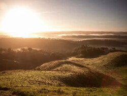 Misty countryside early morning Stock Footage