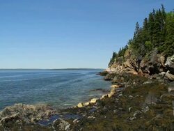 Maine Coast Stock Footage