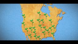 Life by the Numbers Instructional Video