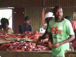 MS Butcher packaging meats for people in semi enclosed building / Windhoek, Khomas, Namibia Stock Footage