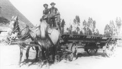 Gold Rush Instructional Video