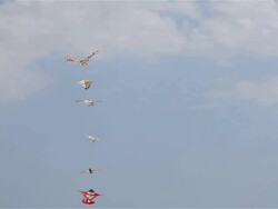 6 KITES IN WIND Stock Footage
