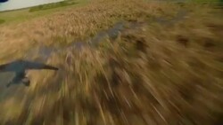 An ultralight glides over wetlands. Stock Footage