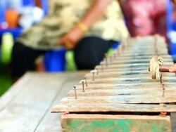 Asian native xylophone Stock Footage