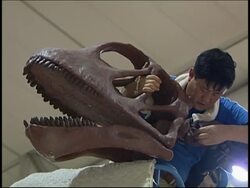 Bones of world's biggest dinosaur found in China exhibited in Japan News Clip