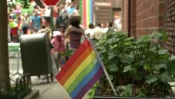 2015 NYC Gay Pride Parade Stock Footage