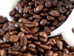 Coffee Beans Macro - Turntable with White Cup (Full HD) Stock Footage