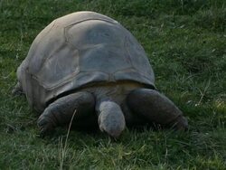Lunch Time! Stock Footage