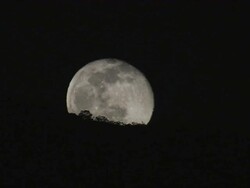 MS CU Full moon rising behind rainforest / Lake Bogoria, Kenya Stock Footage