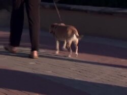 Miami Beach and Freeway News Clip