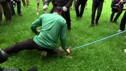 Bangkok park overrun with monitor lizards  Instructional Video