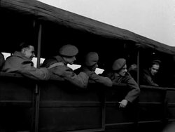 FREE AND HOME AGAIN News Clip