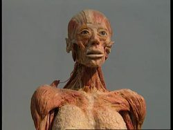 GERMANY: MANNHEIM: BODY PARTS EXHIBITION BRINGS CRITICISM News Clip