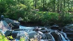 Formazza valley, creeck Alpe Devero Stock Footage