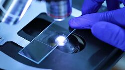 Researchers using a microscope in laboratory Stock Footage