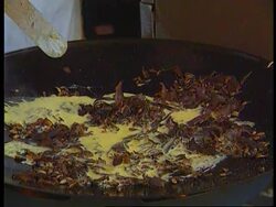 SOUTH AFRICA: BUG BARBEQUE (V) News Clip