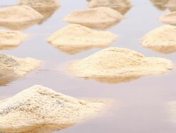 Sea salt Stock Footage