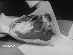 1950s: RUTGERS UNIVERSITY:  MS Sign at Rutgers University laboratory, 'Food Technology Building.' INT VS Sample of beef being tested for tenderness on scale in lab. Agriculture, beef quality, steak, New Jersey, NJ Instructional Video