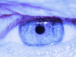 Blue Eye Stock Footage