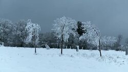 Snowy trees stand in stark contrast against dark, low clouds. Stock Footage