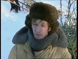 RUSSIA: DEMAND FOR TREES COLLAPSES News Clip